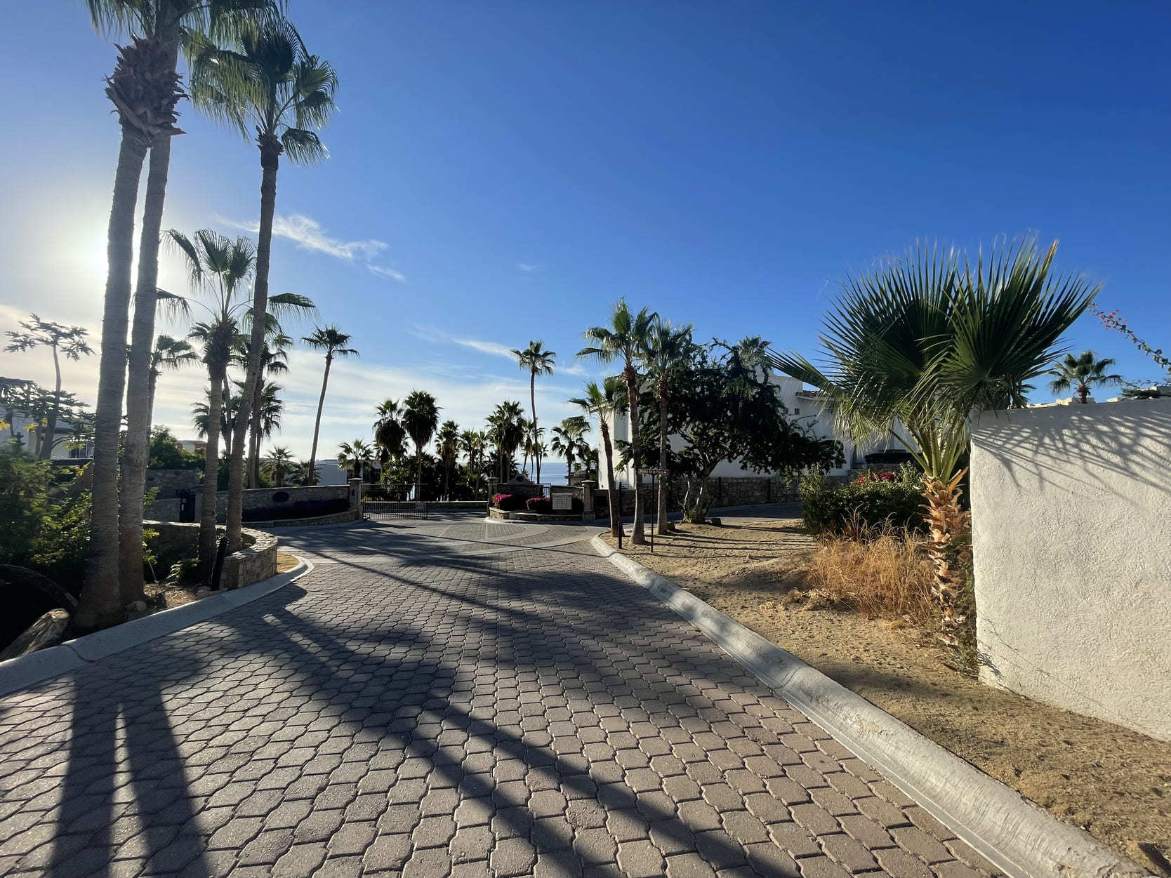 Cabo Bello Homes For Sale Los Cabos Real Estate